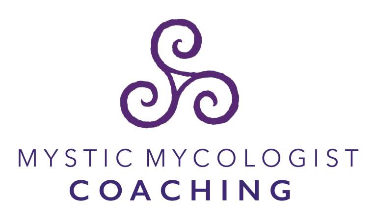 MM Logo 768x456
